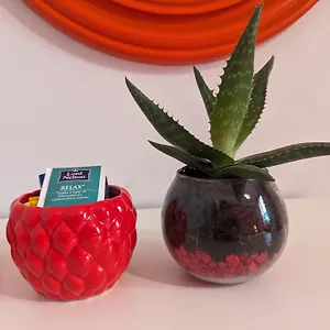Appartamento Binario22, Bologna